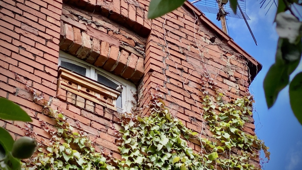Sperlingskoloniehaus aus Holz