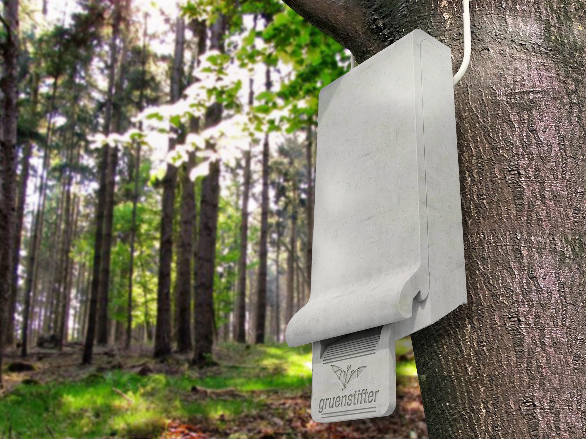 Fledermauskasten hängt am Baum im Wald